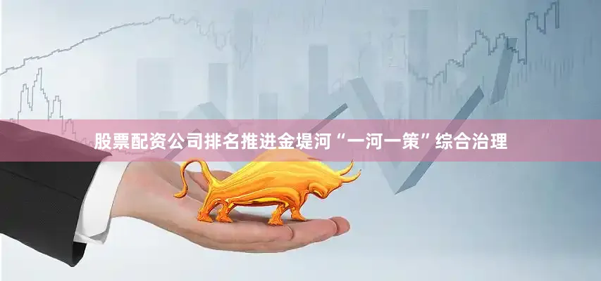 股票配资公司排名推进金堤河“一河一策”综合治理